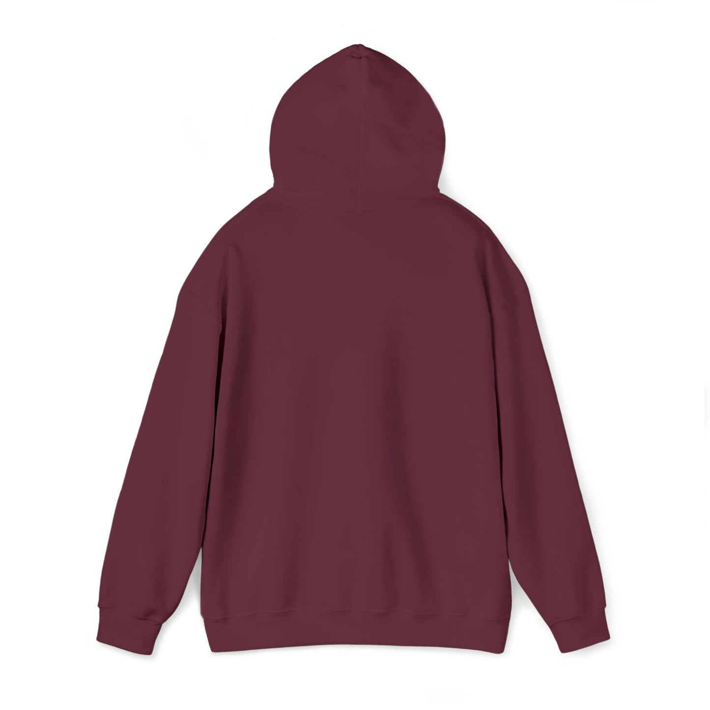 Unisex I Was Blind Hooded Sweatshirt