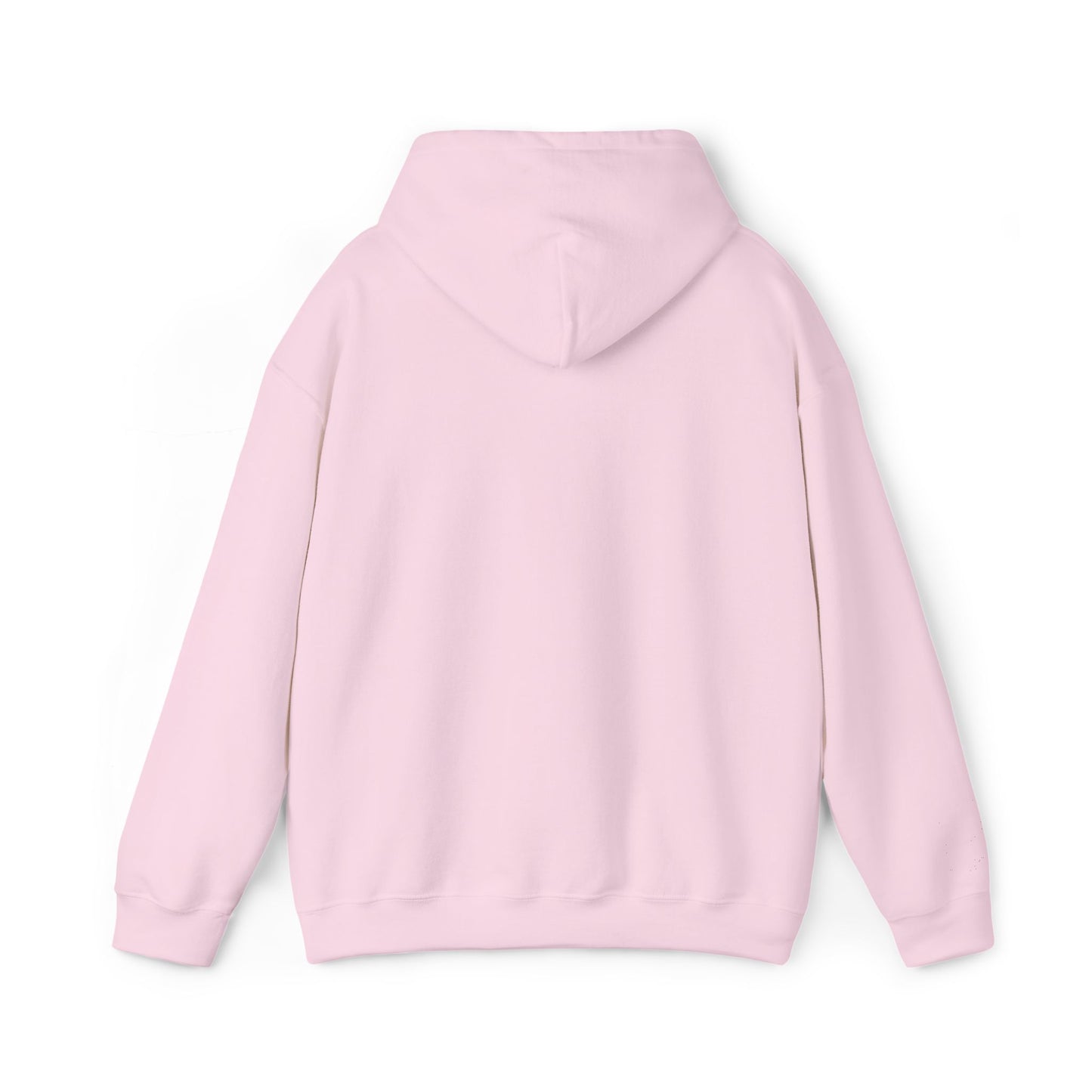 Unisex I Was Blind Hooded Sweatshirt