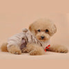 Winter Warm Dog Jumpsuits Plush  Love Bear Christams Party Costume Rompers Pajamas Soft Flannel Small Pet Dogs Clothes