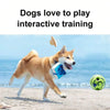 Interactive Dog Toy, Fun Giggle Sounds When Rolled or Shaken Rolling Pet Balls to Grind Teeth and Relieve Boredom