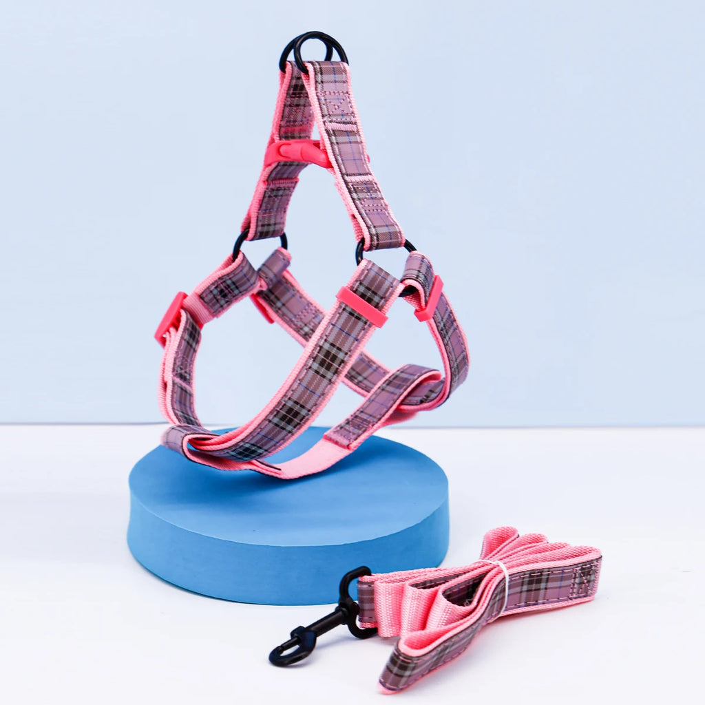 A set of plaid reflective chest and harness set for small and medium-sized dogs to go out for a walk and a lead rope for cats an