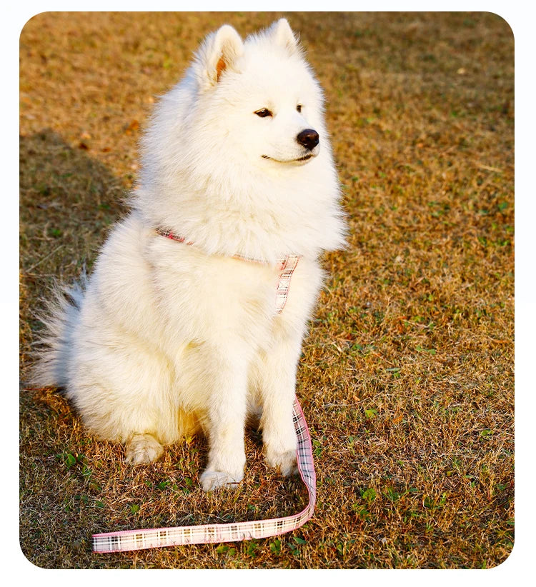 A set of plaid reflective chest and harness set for small and medium-sized dogs to go out for a walk and a lead rope for cats an