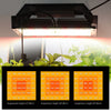 Full Spectrum LED Grow Light Phyto Lamp 50W 240W Samsung LM301B Diode Plant Grow Light Indoor Outdoor Hydroponics Growing System