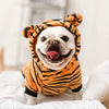 Warm Flannel Clothes for Pets, Soft and Comfortable, Cosplay Clothes, Teddy, Corgi, Puppy Costumes, Cute, Winter