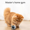 Smart Ball Cat Toy Automatic Moving Bouncing Rolling Ball for Indoor Cat Kitten Catching Exercise Ball Undercover Mouse Cat Toys