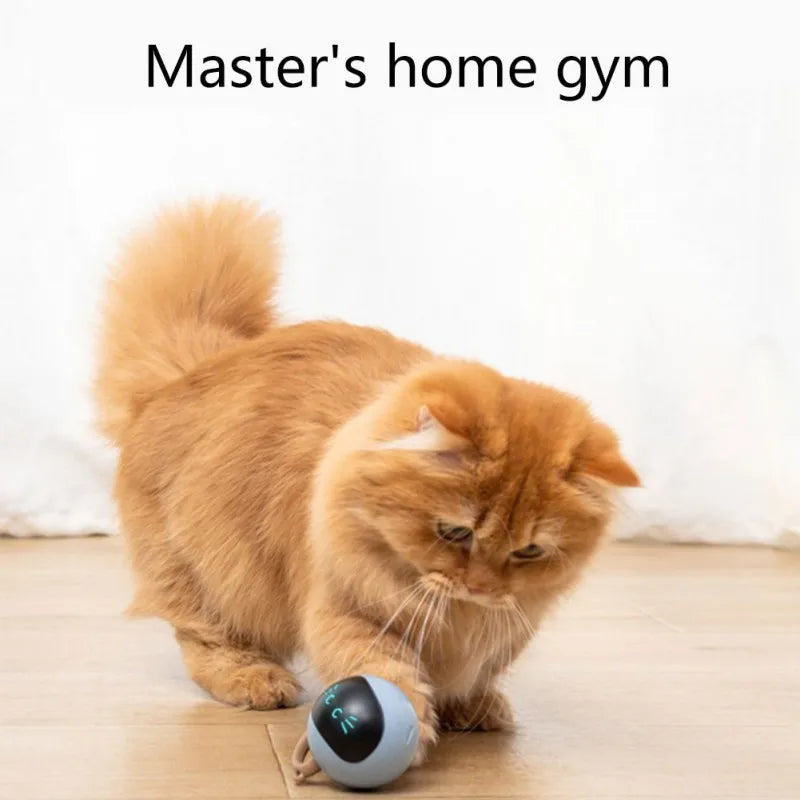 Smart Ball Cat Toy Automatic Moving Bouncing Rolling Ball for Indoor Cat Kitten Catching Exercise Ball Undercover Mouse Cat Toys