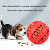 Pet dog toy dog chewing teeth cleaning treatment ball interactive sound elastic ball