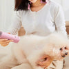 High-Power Pet Hair Dryer Silent Energy-Saving Neck Hanging Beauty Hair Pulling Machine for Cat Dog Portable Quick Drying Dryer