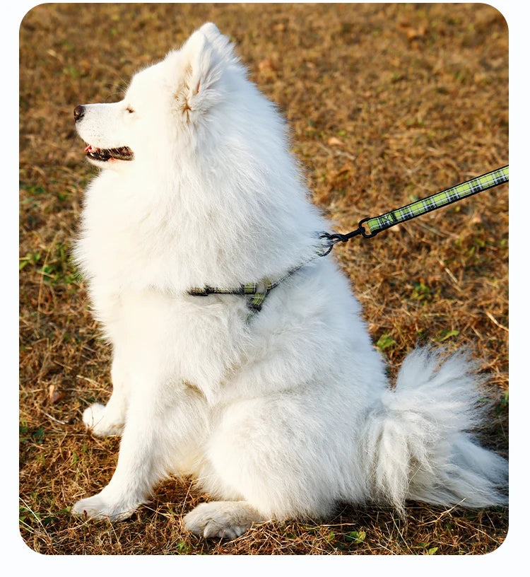 A set of plaid reflective chest and harness set for small and medium-sized dogs to go out for a walk and a lead rope for cats an