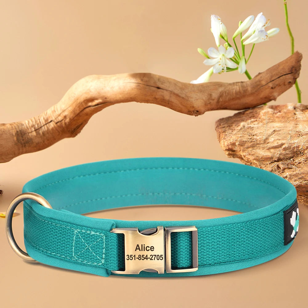 Personalized Nylon Dog Collar Soft Padded Dog Collars Durable Pet ID Collar Adjustable for Small Medium Large Dogs Free Custom