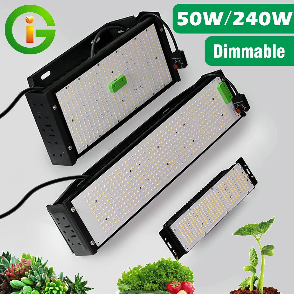 Full Spectrum LED Grow Light Phyto Lamp 50W 240W Samsung LM301B Diode Plant Grow Light Indoor Outdoor Hydroponics Growing System