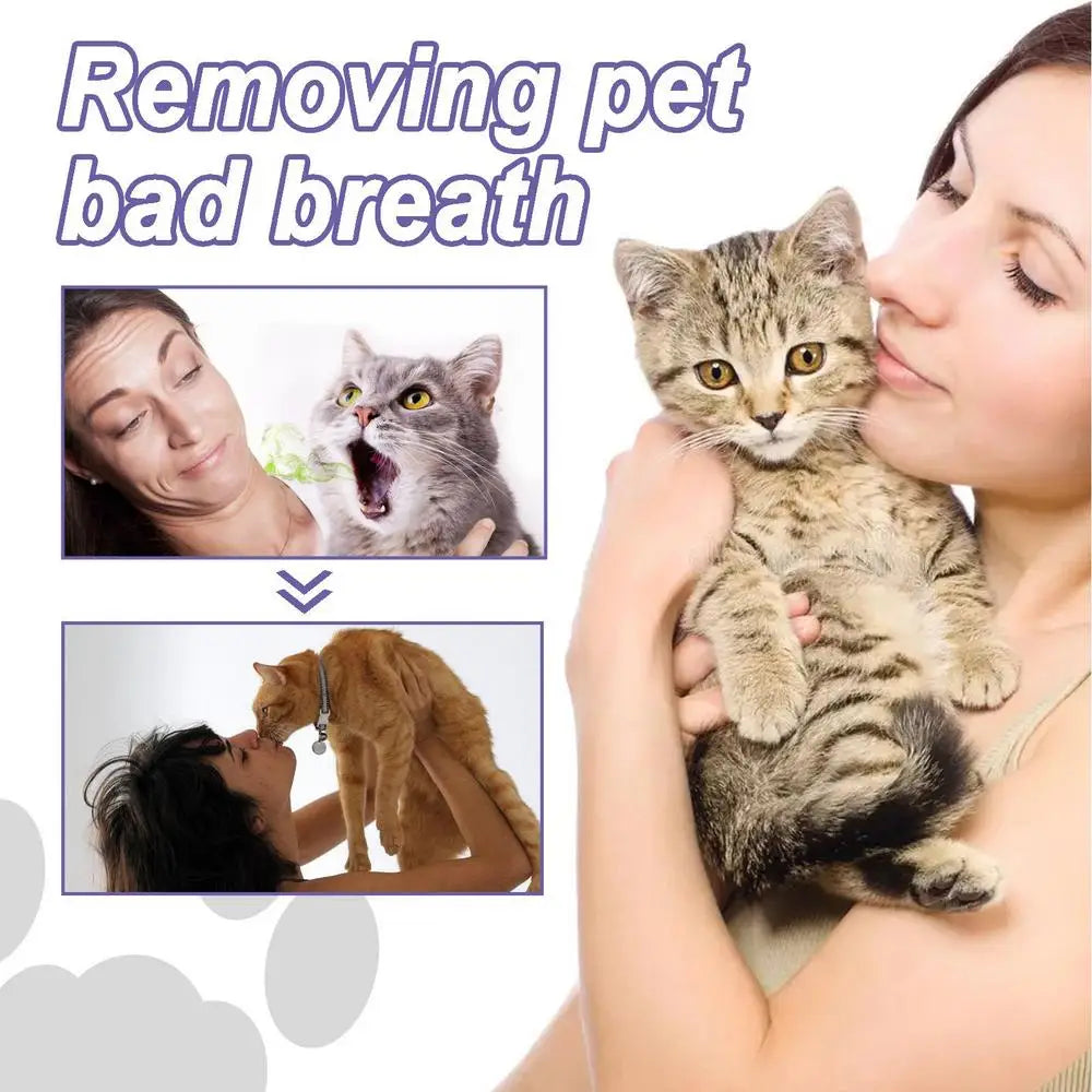 Pet Oral Repair Gel Tooth Repair Teeth Brushing Cleaner Natural Dogs Cats Toothpaste Gel Kitten puppy Breath Freshener supplies