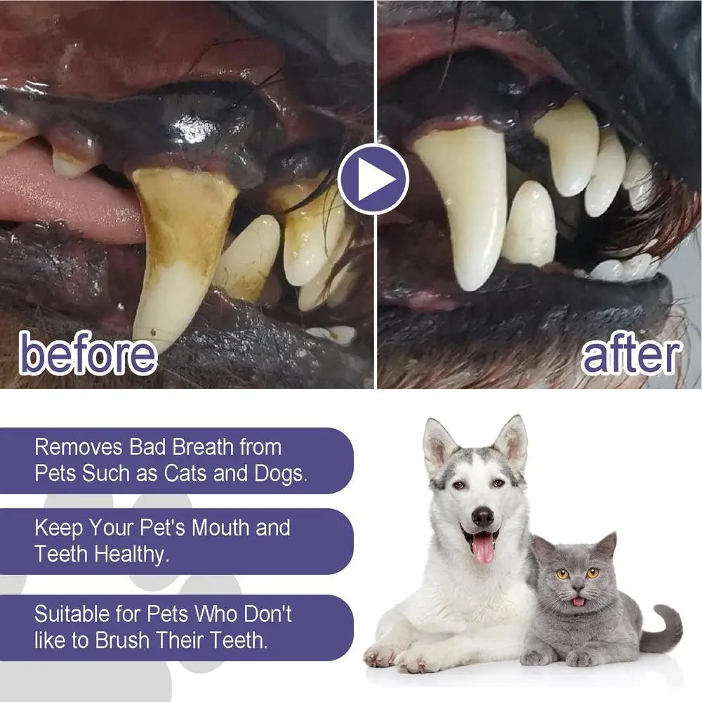 Pet Oral Repair Gel Tooth Repair Teeth Brushing Cleaner Natural Dogs Cats Toothpaste Gel Kitten puppy Breath Freshener supplies